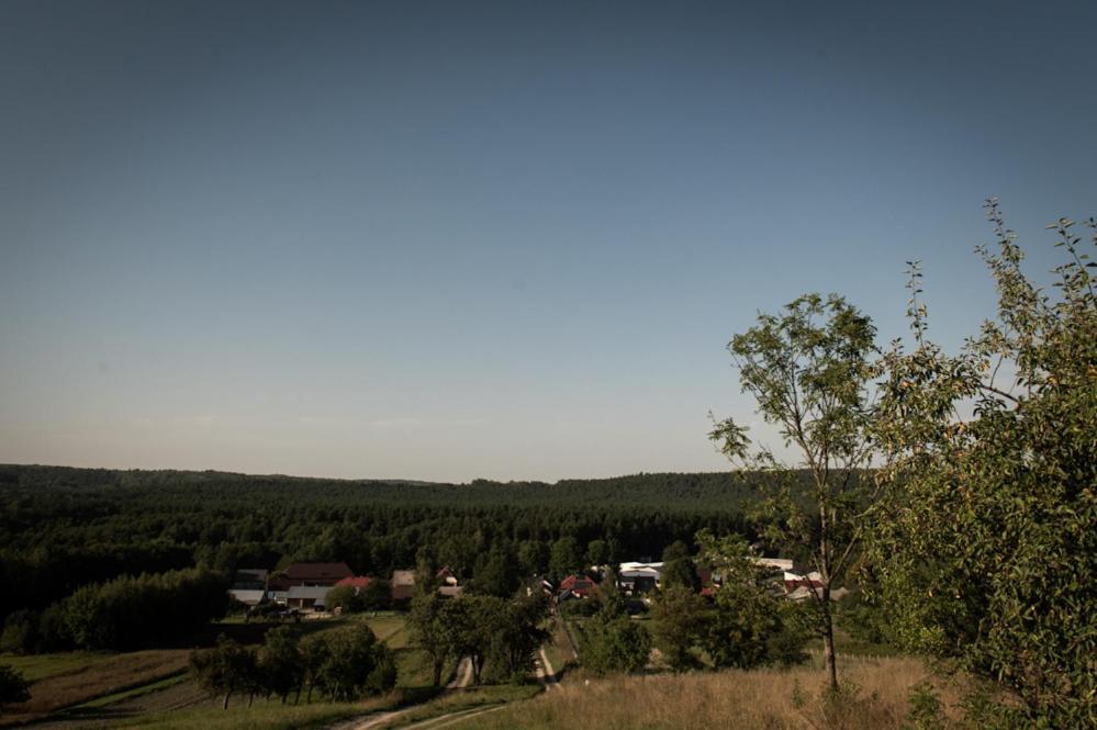 Jurty Z Widokiem, Prywatna Balia- Dzikolas Glamping Krasnobród 외부 사진